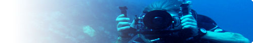 become an underwater videographer today