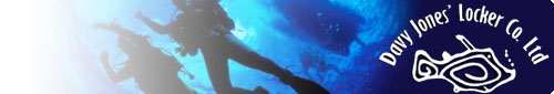 click here to visit the Davy Jones website