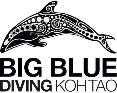 Big Blue Diving Centre Koh Tao