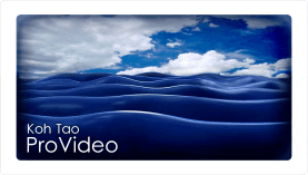 Koh Tao Pro Video underwater videography training