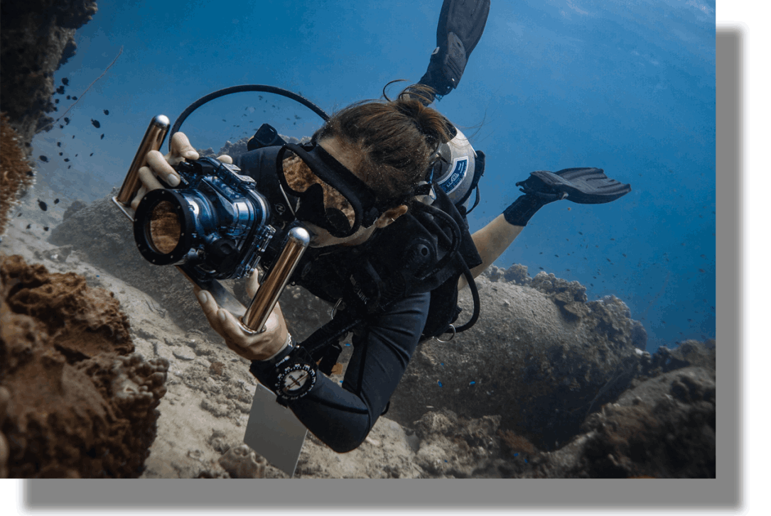 underwater photography training courses
